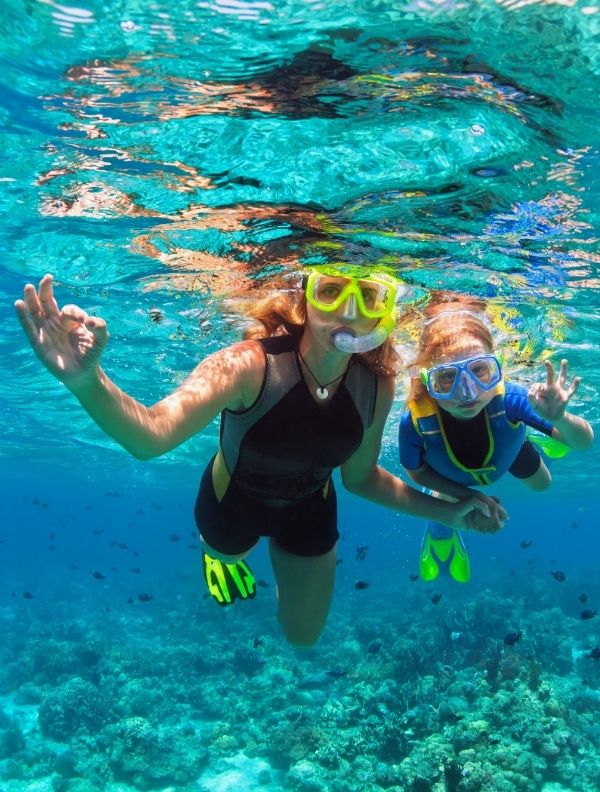 excursiones de snorkel en tenerife